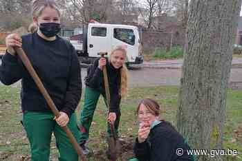 De Bogaard krijgt nieuwe bomen en struiken (Geel) - Gazet van Antwerpen Mobile - Gazet van Antwerpen