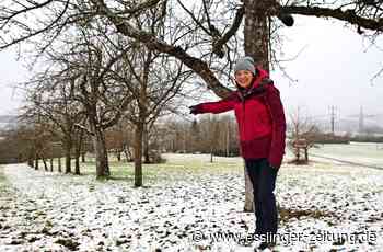 Naturschutz in Hochdorf - Nur gemeinsam sind die Biotope stark - esslinger-zeitung.de