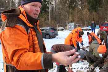 Jäger erlegen mehr Wildschweine als im Vorjahr - Freie Presse