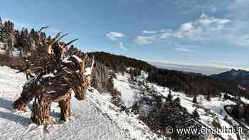 Drago di Lavarone, opera in legno più grande d'Europa simbolo di rinascita - eHabitat