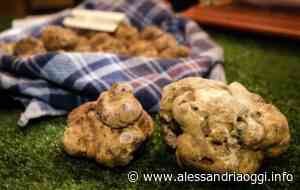 Da Comune di Acqui Terme: il 27 e 28 novembre ad Acqui la kermesse “Acqui & Sapori” - Alessandria Oggi