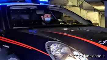 Ladri in una gioielleria di Sinalunga - LA NAZIONE