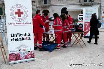 Giornata internazionale del volontariato, a Trani scendono in piazza diverse associazioni - TraniViva
