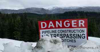 Trio of New Democrat MPs sign petition criticizing B.C. NDP government in Wet’suwet’en dispute