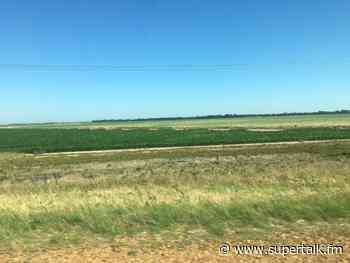 Class-action suit alleges hundreds of farmers in the Mississippi Delta were cheated out of millions - supertalk.fm