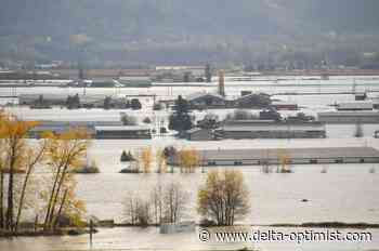 Hundreds in Abbotsford still under flood evacuation order - Delta-Optimist