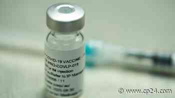 Medicago's plant-based vaccine trial shows 75.3% efficacy against Delta variant - CP24 Toronto's Breaking News