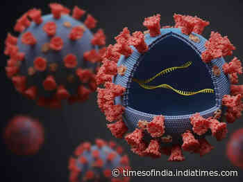 Omicron versus Delta: How to differentiate between the two? - Times of India