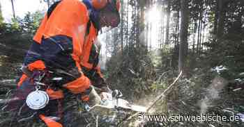 Holzeinschlag im Stadtwald Ravensburg | schwäbische - Schwäbische