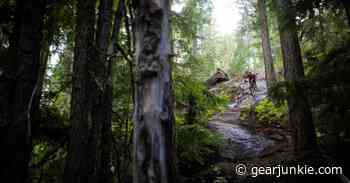 Micayla Gatto Swerves Trails at Vedder Mountain in Chilliwack, British Columbia - GearJunkie