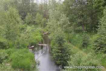 South Campbell Heights plan needs more studies, consultation: outdoor recreation council – Chilliwack Progress - Chilliwack Progress