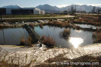 LETTER: Molson landscaping is failing – Chilliwack Progress - Chilliwack Progress