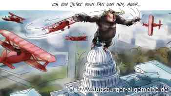 Karikaturen von Stefan Fichtel sind in Mindelheim zu sehen - Augsburger Allgemeine