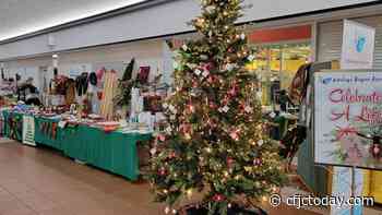 Kamloops Hospice's 'Celebrate a Life' is back in person - CFJC Today Kamloops