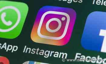 About time! Instagram will finally bring back the chronological feed next year