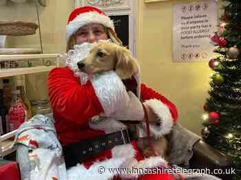 £500 raised as dogs queue up to meet Santa
