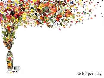 The Odor of Things, by Scott Sayare - Harper's Magazine