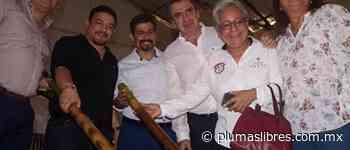 ¿Quién protege a la fiscal Verónica Hernández? - plumas libres