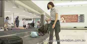 Adelaide’s new international arrivals hall opens - Australian Aviation