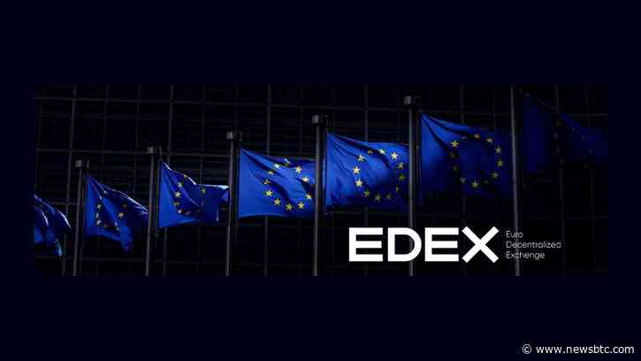EuroSwap EDEX Presented the Team and Went Straight Into the Main Development Phase