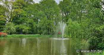 Op huizenjacht in... Wuustwezel. “Een landelijke gemeente met prachtige natuur en verscheidenheid aan woningen” - Het Laatste Nieuws