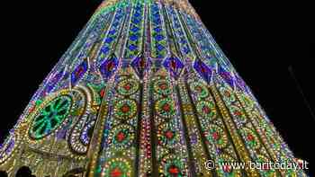 Centomila luci risplendono sul lungomare: si accende il grande albero di Natale in largo Giannella - BariToday