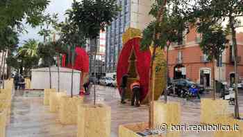 Bari, spunta una foresta urbana in pieno centro: 50 alberi per sensibilizzare sull'importanza del verde - La Repubblica