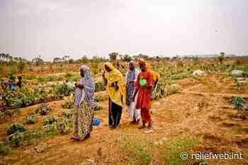 Mali: Alarming food crisis leaves 1.2 million hungry - Mali - ReliefWeb