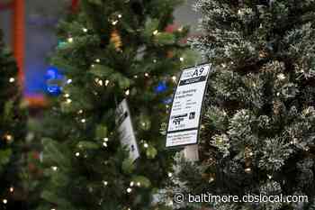 Does The Baltimore Area Prefer Real Or Fake Christmas Trees? - CBS Baltimore