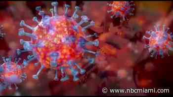 Omicron Variant in Florida: Miami Doctor Explain What it Means