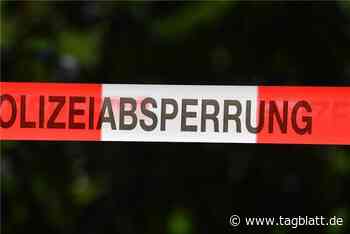 Lastwagenfahrer wird bei Arbeitsunfall in Mannheim getötet - Schwäbisches Tagblatt