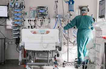 Die Nachrichten am Morgen für Mannheim und die Region: Mannheimer Gesundheitschef, Buga 2023, Sexueller Missbrauch Speyer - Metropolregion - Mannheimer Morgen