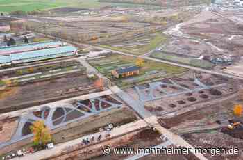 Wie Vereine und Künstler bei der Buga in Mannheim mitwirken können - Mannheim - Nachrichten und Informationen - Mannheimer Morgen