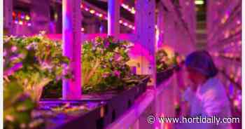Transforming UK Food Systems SPF Program announces joint fellowship - hortidaily.com