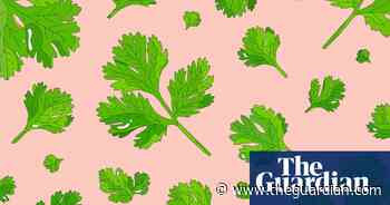 'It's incredible': how cilantro took over America | Food & drink industry - The Guardian