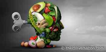 Junk food and the brain: How modern diets lacking in micronutrients may contribute to angry rhetoric - The Conversation CA