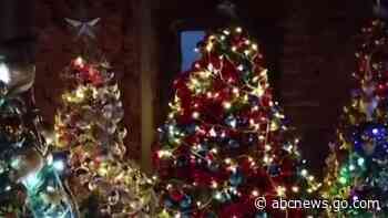 WATCH:  Couple sets record for most Christmas trees in one place