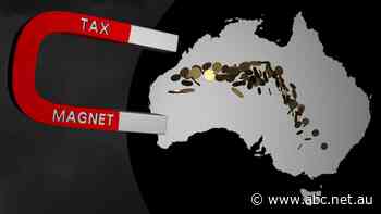 More companies paid no tax during COVID-19 pandemic