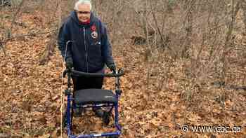 Abandoned Ontario cemetery with graves of Black settlers to be restored after campaign by local advocates