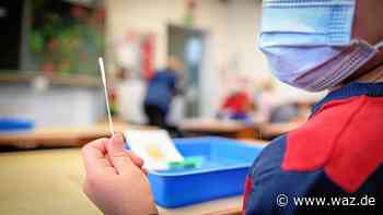 Corona Essen: Kommen bald Lolli-Tests in allen Kitas? - Westdeutsche Allgemeine Zeitung