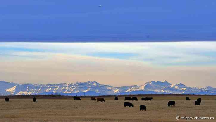 Warmer this weekend in southern Alberta