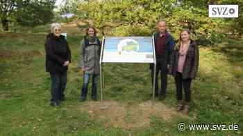 Natura 2000: Lehrpfad in der Bretziner Heide auf Vordermann gebracht | svz.de - svz – Schweriner Volkszeitung