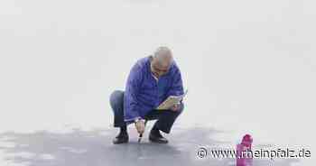 Ausstellung „kopfüber himmelwärts“ von Stefanie Gerhardt ab Freitag - Neunkirchen - Rheinpfalz.de