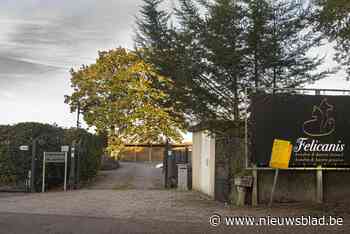 Veel bezwaren, maar toch vergunning voor hondenkennel: “We bevorderen het welzijn van de dieren”