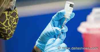 The omicron variant of the coronavirus has been detected in North Texas - The Dallas Morning News