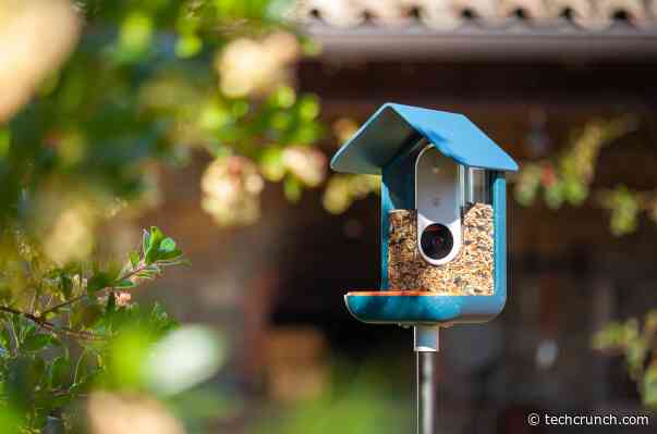 Bird Buddy lands $8.5M to pursue ‘tech for nature’ after smart bird feeder campaign takes off