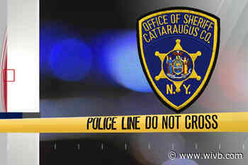 Salamanca woman charged with hitting, pushing deputies during warrant arrest