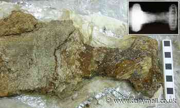 Stunning Viking sword featuring an animal paw design on the buckle is discovered in Orkey