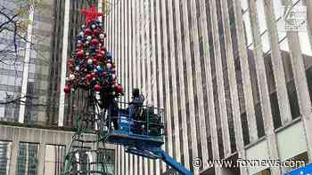 Fox News' All-American Christmas tree to be rebuilt, tree-lighting ceremony will air during 'The Five'