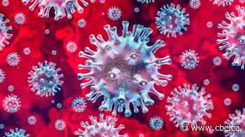 What the arrival of the omicron variant means for Saskatchewan